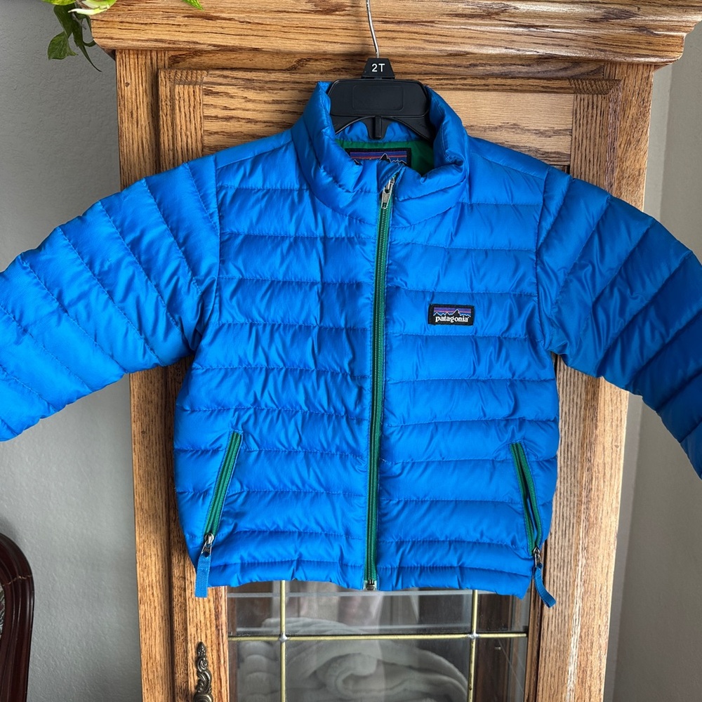 Patagonia Blue Puffer Jacket